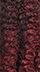 2T1B/425