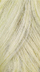 613B