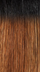 DR2730