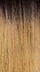 DR4/GDNHNBL