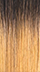 DRFF4/GDNHN