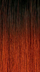 DRSIECP