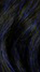 F1B/Blue