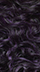 F1B/Purple
