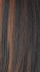 FHCHOCODIP