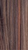 GXBRONZE