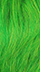 LimeGreen