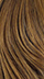 SANDSTONE