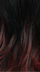 T1B/BUG