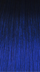 TT1B/BLUE