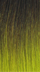 TT1B/GREEN