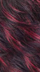 WINE-SW